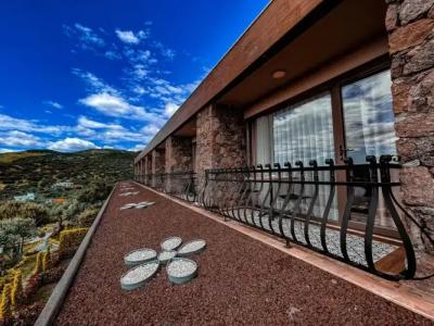 Assos Longevity - 83