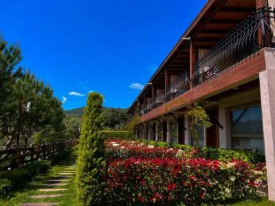 Assos Longevity - 23