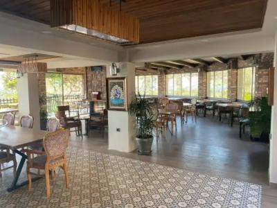 Assos Longevity - 10