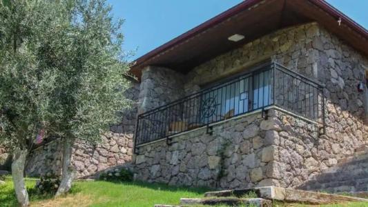 Assos Longevity - 46