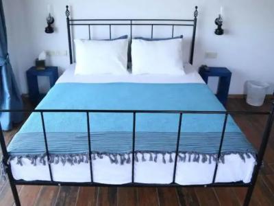 Assos Longevity - 40