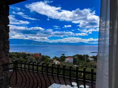 Assos Longevity - 65