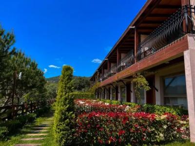 Assos Longevity - 36