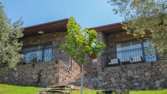 Assos Longevity - 47