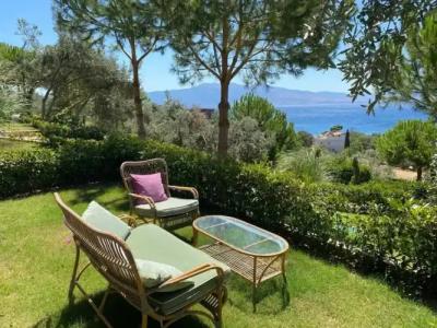 Assos Longevity - 16