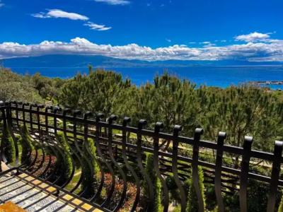 Assos Longevity - 58