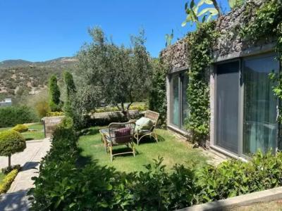 Assos Longevity - 20