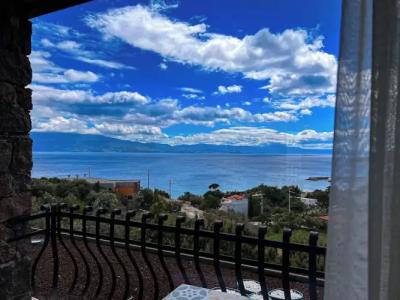 Assos Longevity - 72