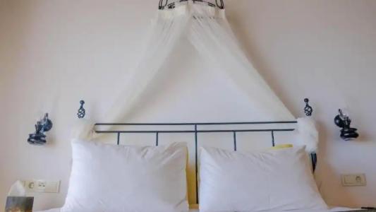 Assos Longevity - 43