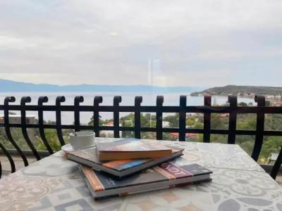 Assos Longevity - 55