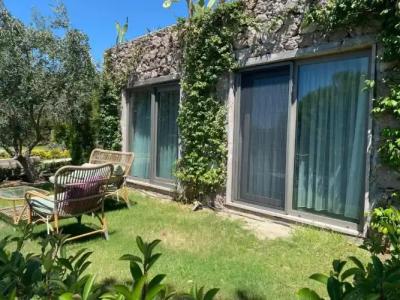 Assos Longevity - 17