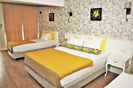 Assos Longevity - 37