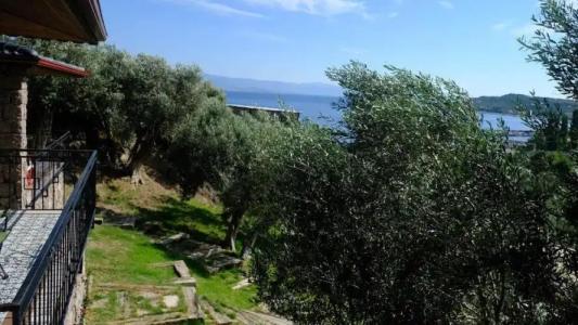 Assos Longevity - 48