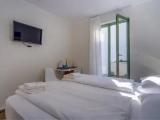 Deluxe Double or Twin Room with Terrace