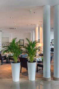 Bellevue Superior City - 1