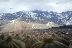 Guesthouse Suja, Kazbegi