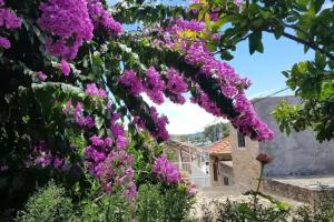 Rooms Roza, Vrboska