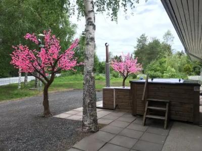 Hostel Ibedcity - 12