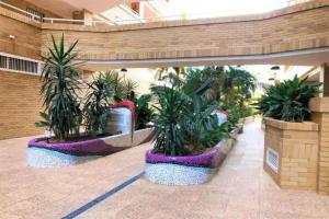 ACV - Aguamarina-2 Linea Planta 6 Norte, Oropesa del Mar