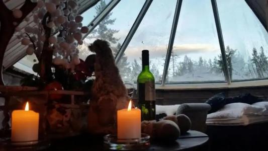 Wilderness Inari & Igloos - 70