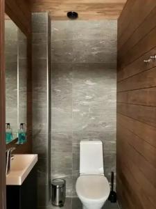 Wilderness Inari & Igloos - 77