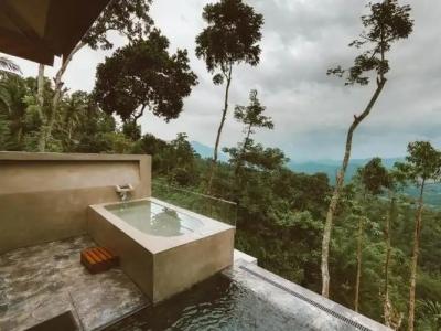 Aarunya Nature Resort & Spa - 41