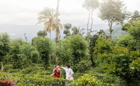 Aarunya Nature Resort & Spa - 28