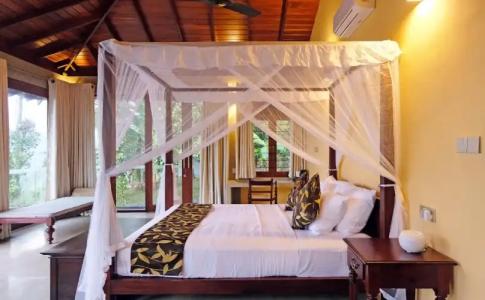 Aarunya Nature Resort & Spa - 2