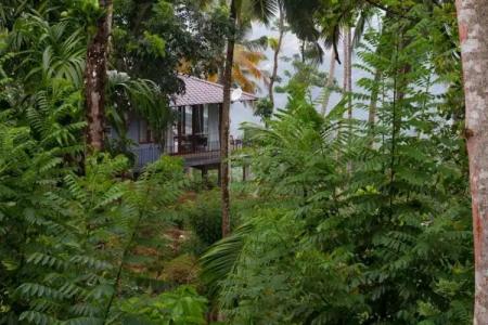 Aarunya Nature Resort & Spa - 100