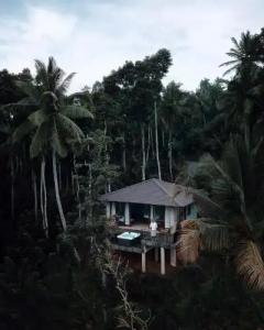 Aarunya Nature Resort & Spa - 90