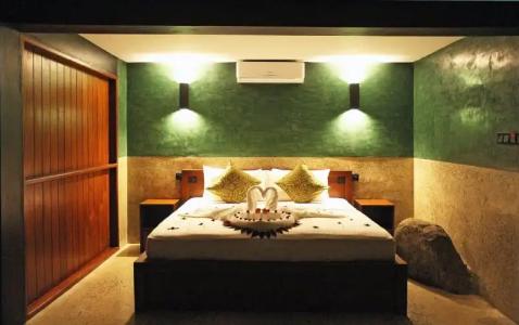 Aarunya Nature Resort & Spa - 3