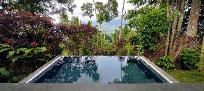 Aarunya Nature Resort & Spa - 106