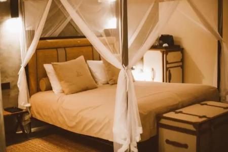 Aarunya Nature Resort & Spa - 35