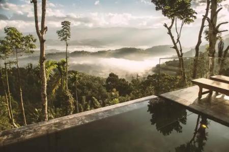 Aarunya Nature Resort & Spa - 49