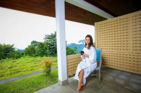 Simpson's Forest - 31