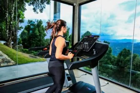 Simpson's Forest - 12