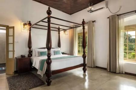 Simpson's Forest - 55