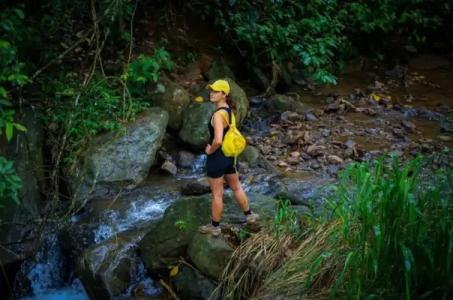 Simpson's Forest - 16