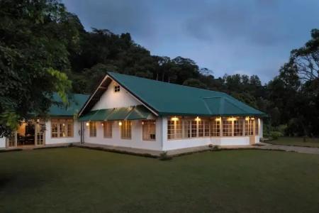 Simpson's Forest - 52