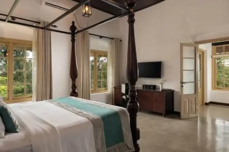 Simpson's Forest - 53