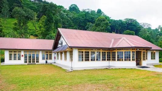 Simpson's Forest - 51