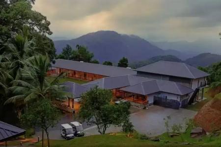 Simpson's Forest - 11