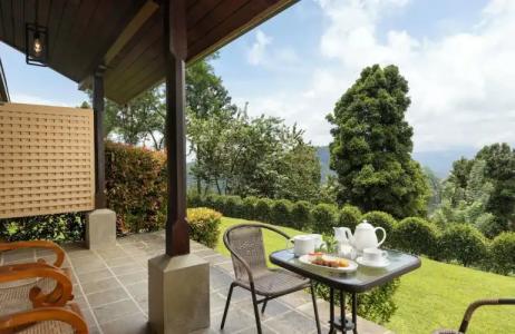 Simpson's Forest - 24