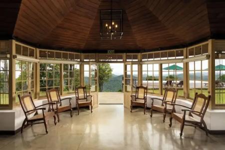 Simpson's Forest - 56