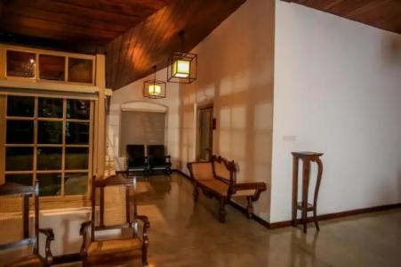 Simpson's Forest - 46