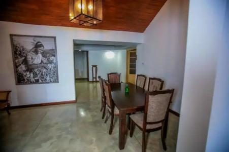 Simpson's Forest - 49