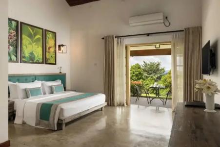 Simpson's Forest - 22