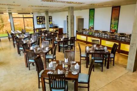 Simpson's Forest - 14