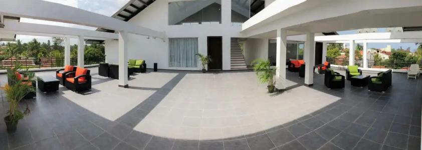 Daffodils Beach - 15