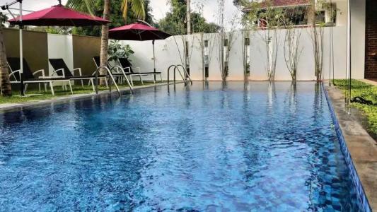 Daffodils Beach - 17